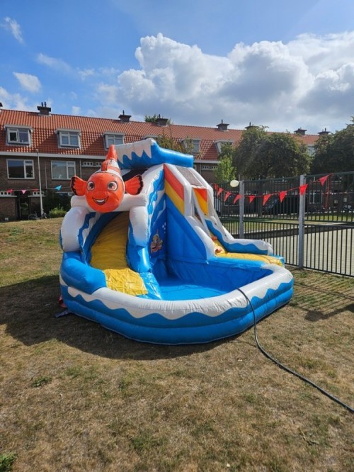 Ballenbak Nemo (Incl. ballenbakballen)